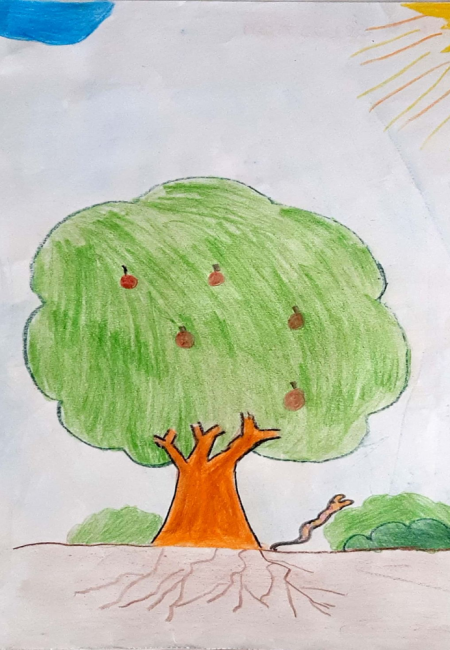 salado_26_Jannier sebastian 9 años