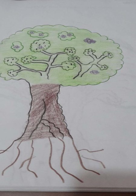 institucio educativa Santander_4_jazmín 12 años (1)
