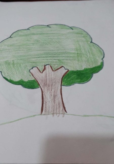 institucio educativa Santander_6_cristian 13 años