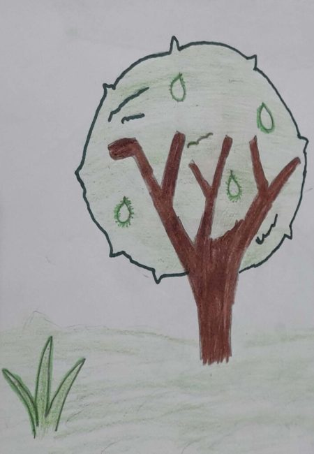 institucio educativa Santander_7_karen 12 años