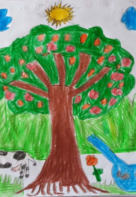 potosi_12_janer sebastian 11 años