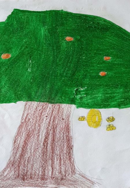 potosi_13_anayerly 10 años