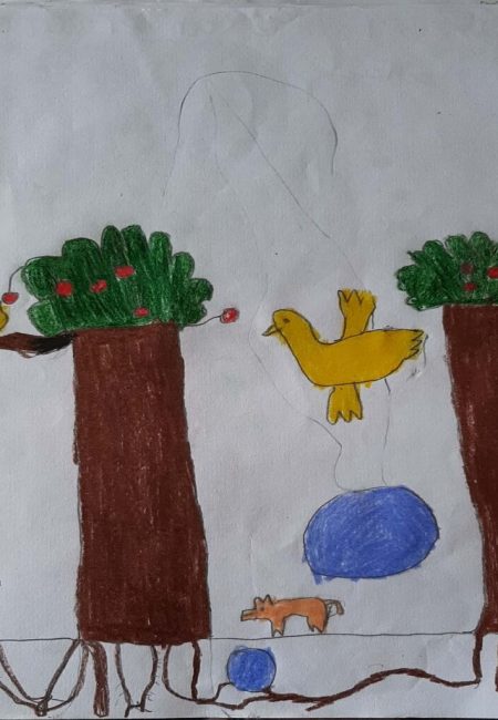 potosi_17_deyber 9 años