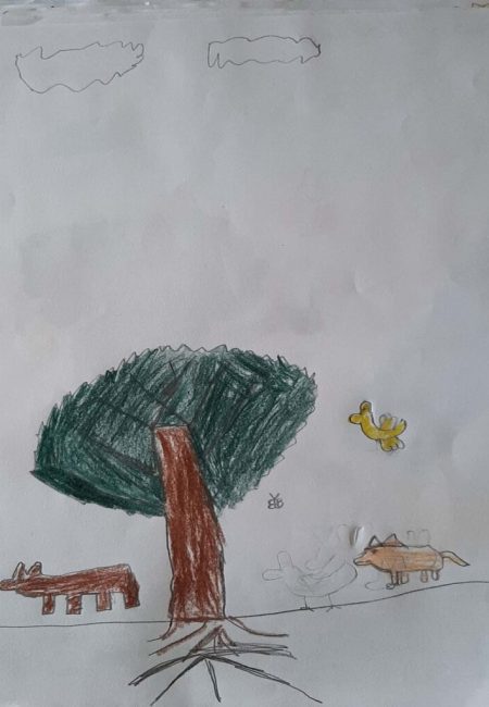 potosi_19_jheison 8 años