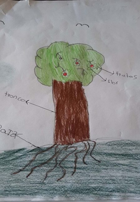 potosi_1_Martin 9 años