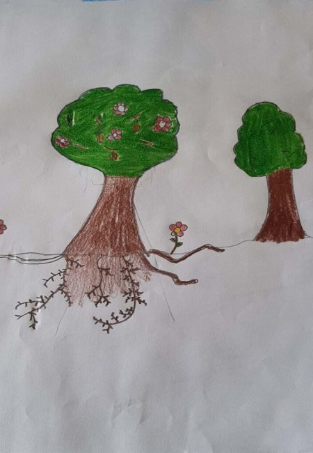 potosi_26_sara katherine 11 años