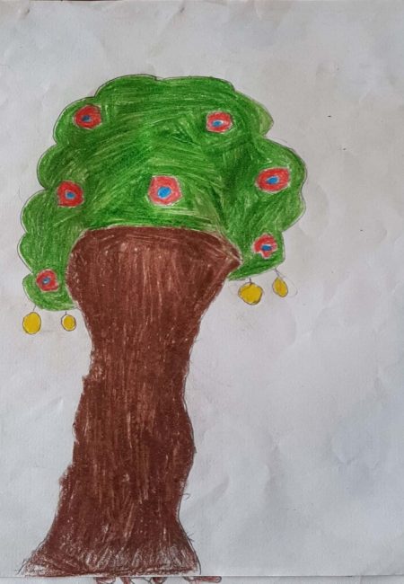 potosi_29_jhoan 9 años