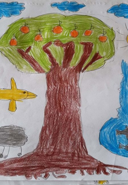 potosi_30_cristian 11 años