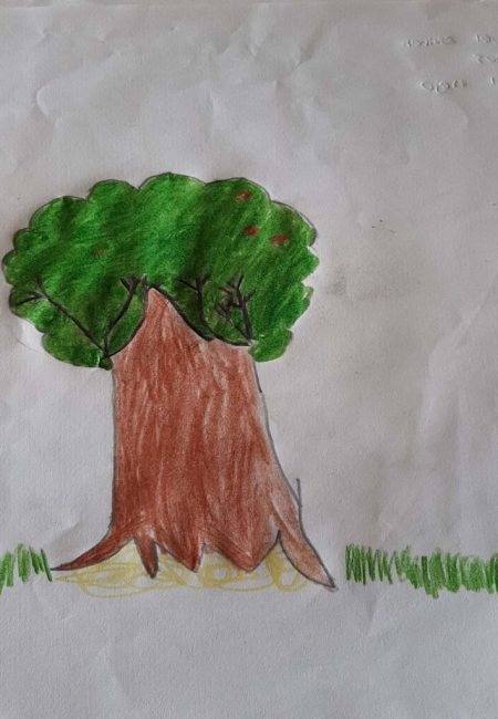 potosi_44_Samuel estiven 9 años