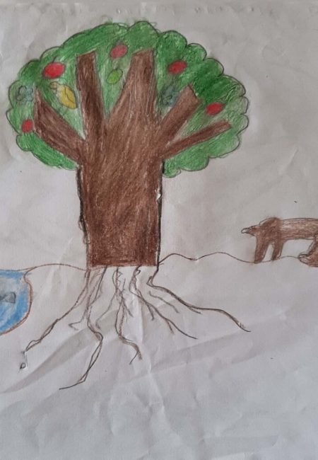 potosi_45_Samuel Alexander 10 años