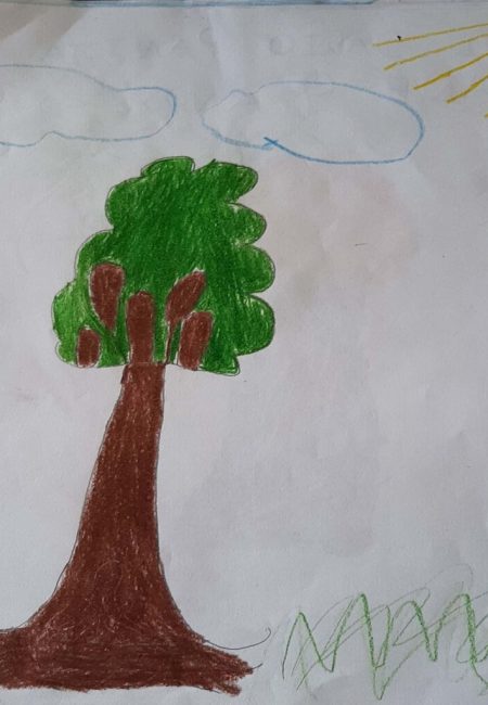 potosi_5_Samuel 9 años