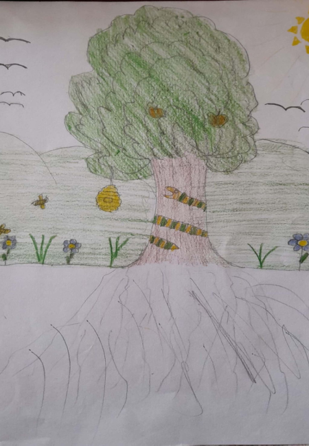 santa teresita_29_luis 12 años