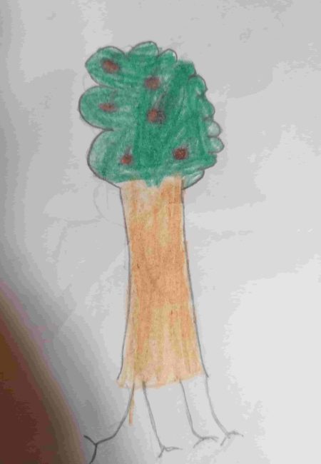 Impulso Verde MIALA IENSP