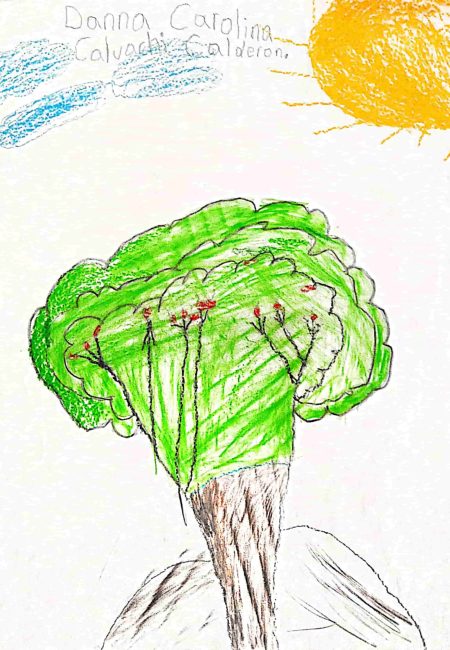 Impulso Verde MIALA