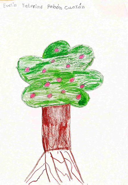Impulso Verde MIALA