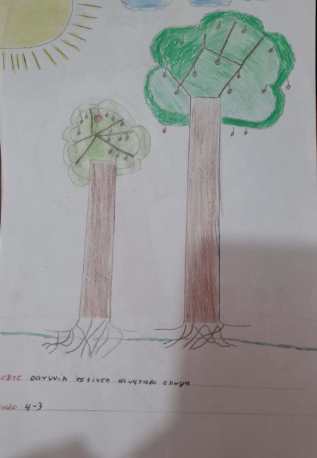 Impulso Verde MIALA