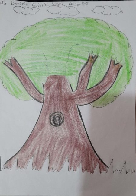 Impulso Verde MIALA