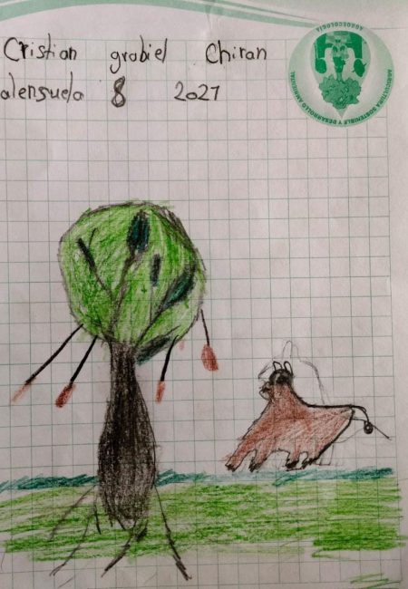 lmpulso Verde MIALA