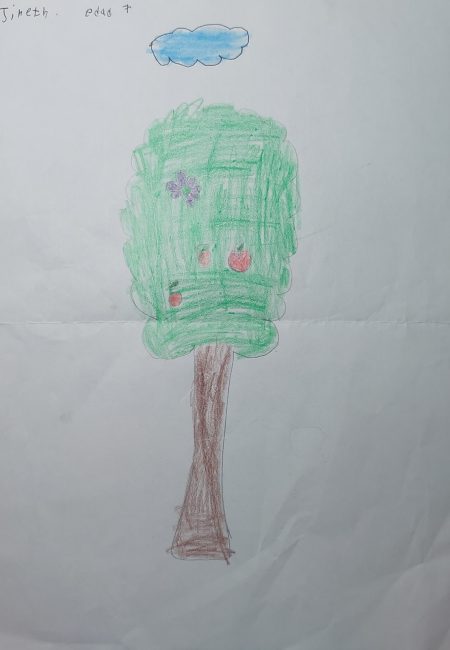 Impulso Verde MIALA