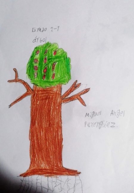 Impulso Verde MIALA