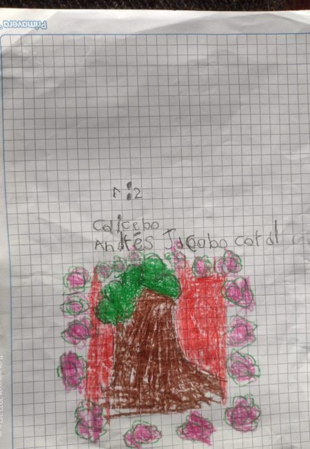 Impulso Verde MIALA