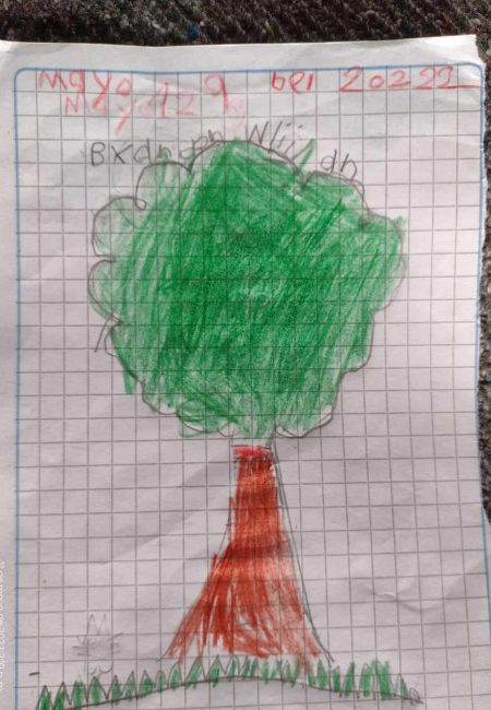 Impulso Verde MIALA