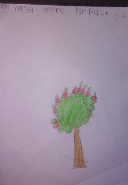 Impulso Verde MIALA