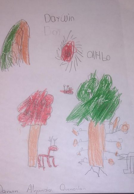 Impulso Verde MIALA