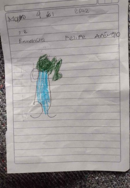 Impulso Verde MIALA