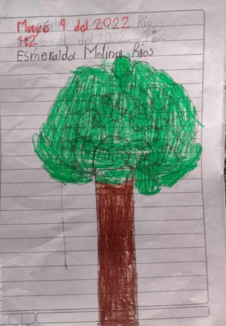 Impulso Verde MIALA
