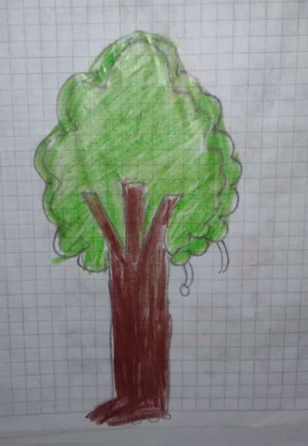Impulso Verde MIALA