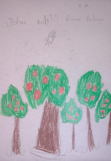 Impulso Verde MIALA
