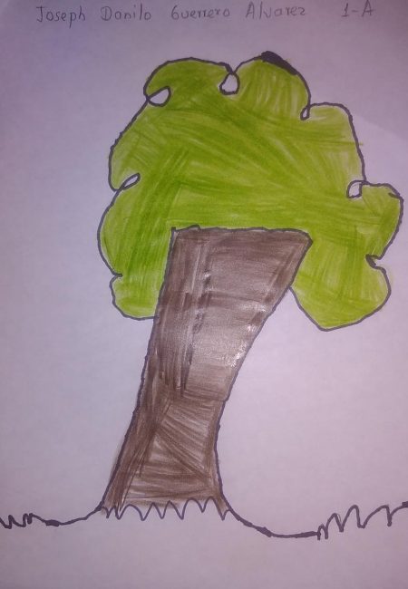 Impulso Verde MIALA