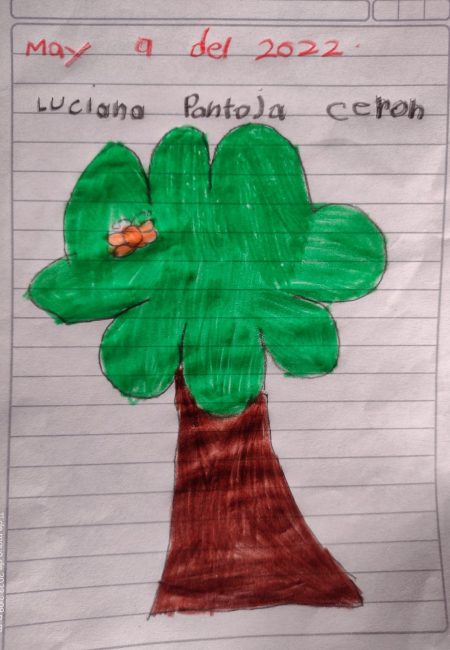 Impulso Verde MIALA