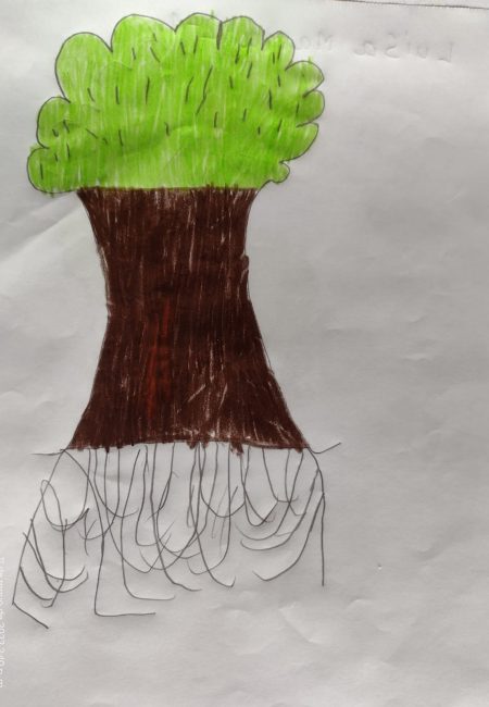 Impulso Verde MIALA