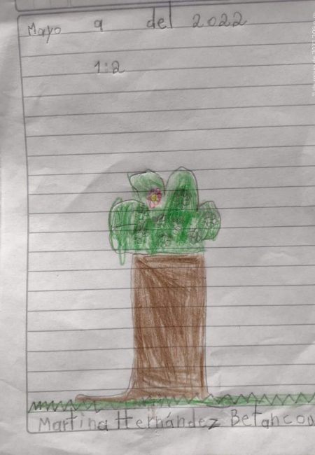 Impulso Verde MIALA