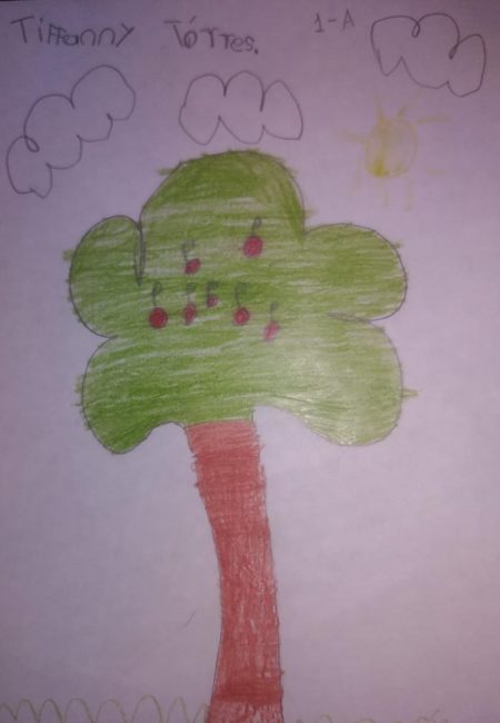 Impulso Verde MIALA