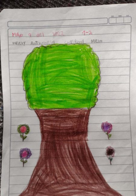 Impulso Verde MIALA