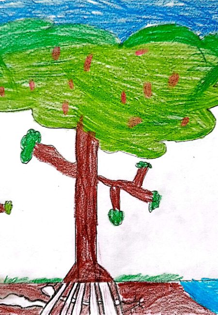 Jacobo - 9 CM1 A Mis amigos los arboles Impulso verde