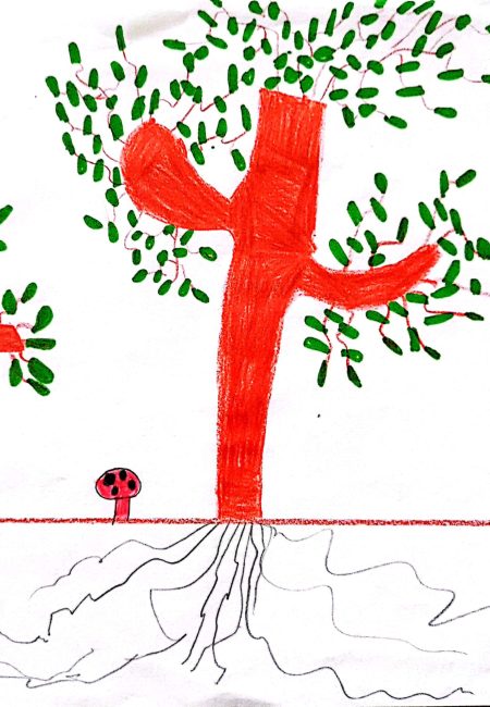 Sebastian - 9 CM2 D Mis amigos los arboles Impulso verde