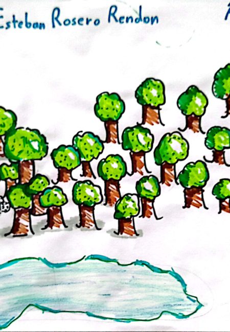 Juan Esteban - 10 CM2 D Mis amigos los arboles Impulso verde