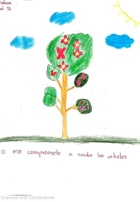 MIALA_C.E. Santa Lucía