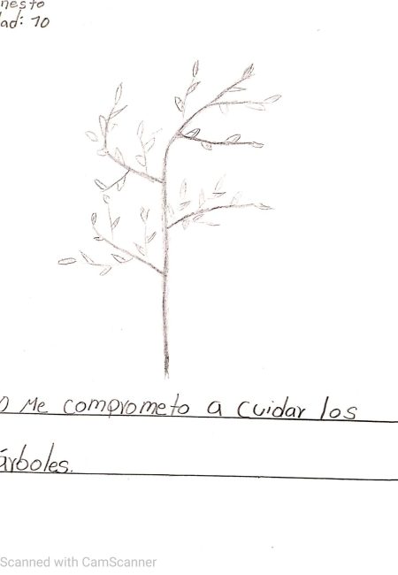 MIALA C.E. Santa Lucía