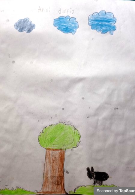 Andi Dario edad 4 años_Impulso verde