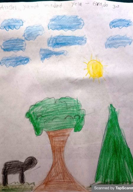 Angel yamid madrid yela edad 6 años_Impulso verde