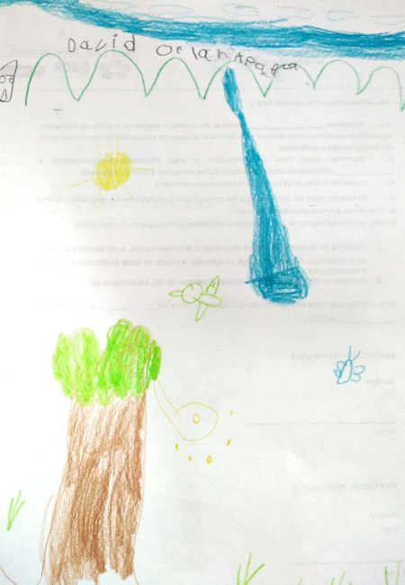 David - 6-Impulso verde