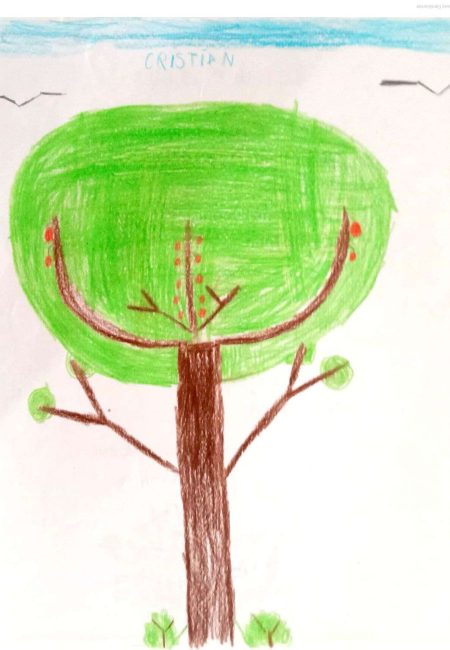 CE1 B_11_Cristian- Impulso Verde