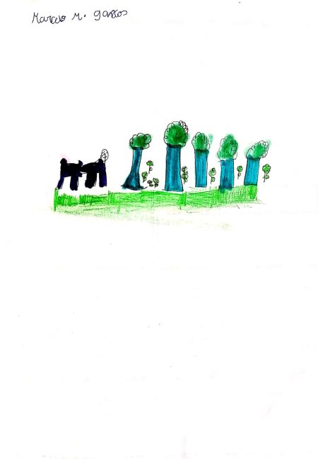 Liceo francés-MIALA