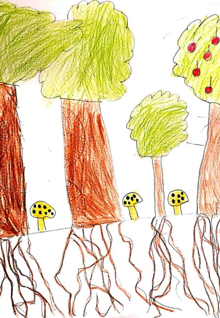 Liceo francés-MIALA