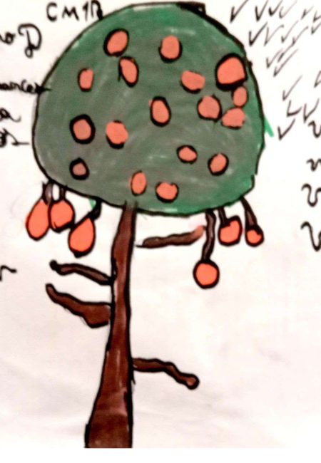 CM1 B_11_Emiliano 10- Impulso Verde